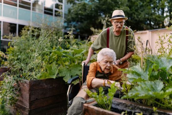 Oudere vrouw in rolstoel met partner achter haar verzorgt de planten buiten in grote houten bakken